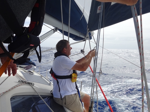 Quelling the clew