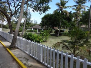 m_DSC00310