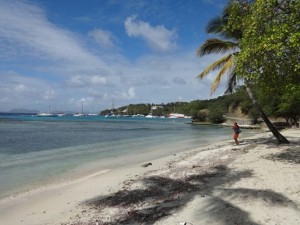 Beach looking back at the moorings