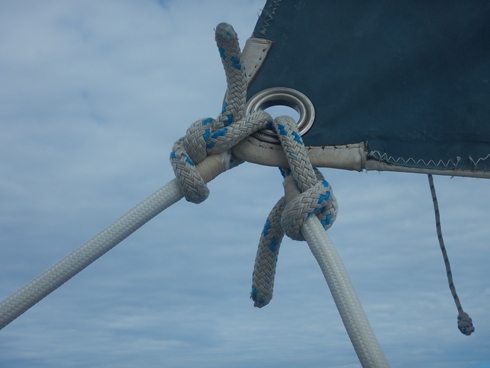 m_DSCN0214