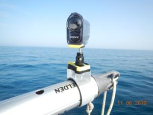 Camera mounted on the end of the whisker pole