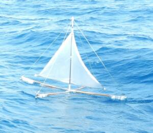 Curious craft spotted well offshore as we sailed past.